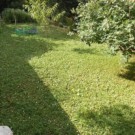 Tranquity Ika Apartman *