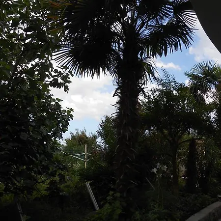 Tranquity Ika Apartman Lovran